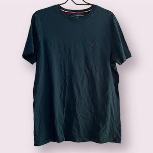 Tommy Hilfiger, Crew Neck Tee, Blue, Size Medium, Men’s